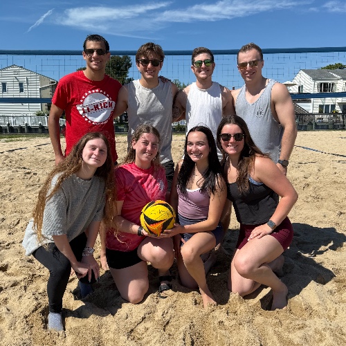 Volley Llamas