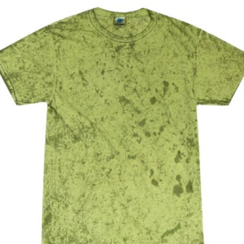 Unisex Color Crush T-Shirt Turtle